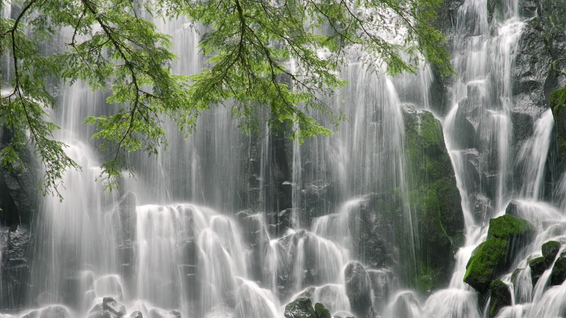 世界体能恢复联盟与多家医院达成合作协议，体能恢复训练是什么